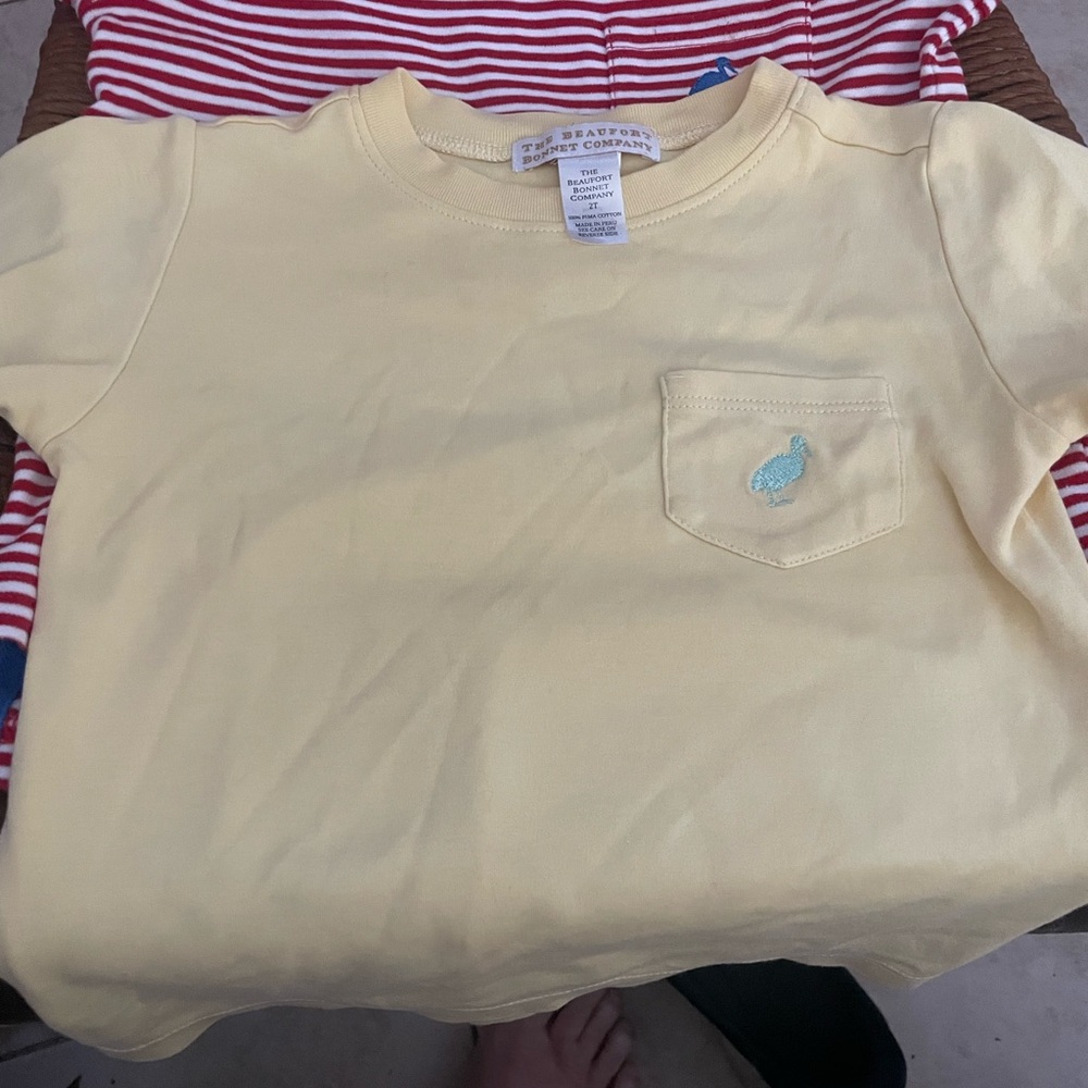 Boys 2t tees